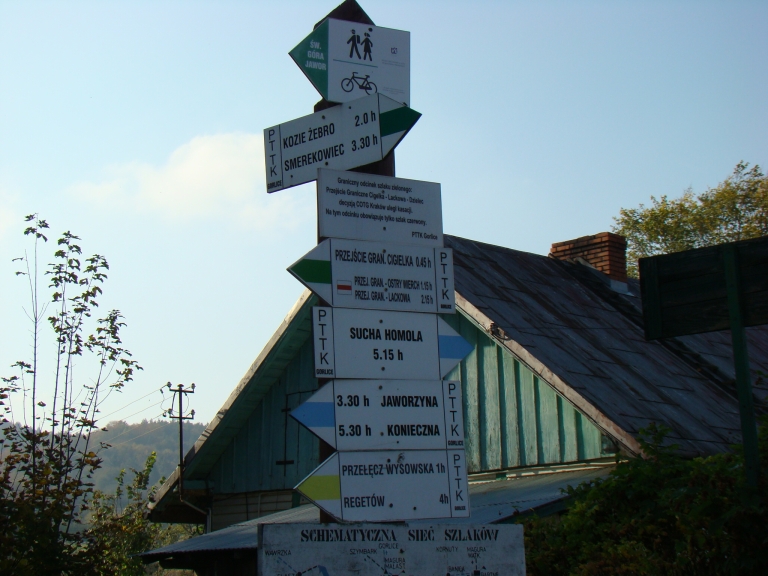 40