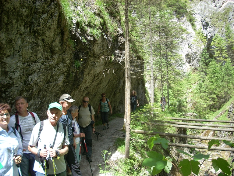 156