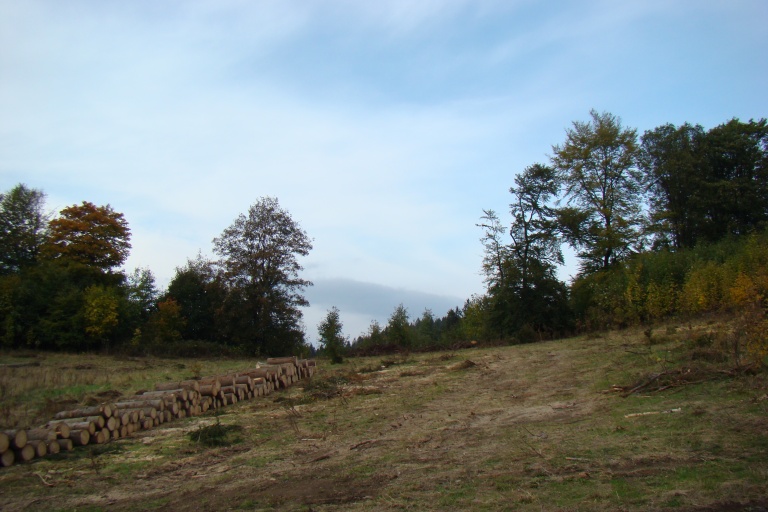 15-16.10 Zakończenie Sezonu