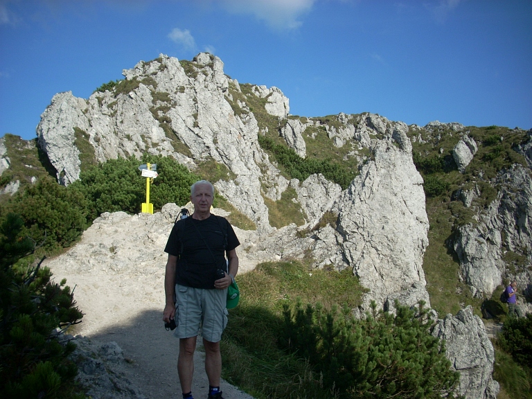 81