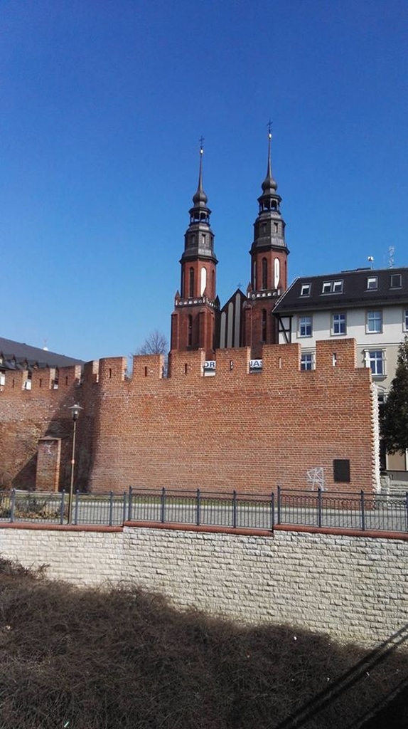 25.03 Niedziela Palmowa