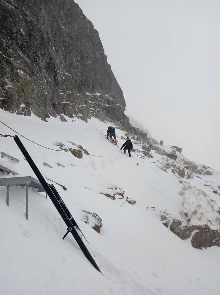 43