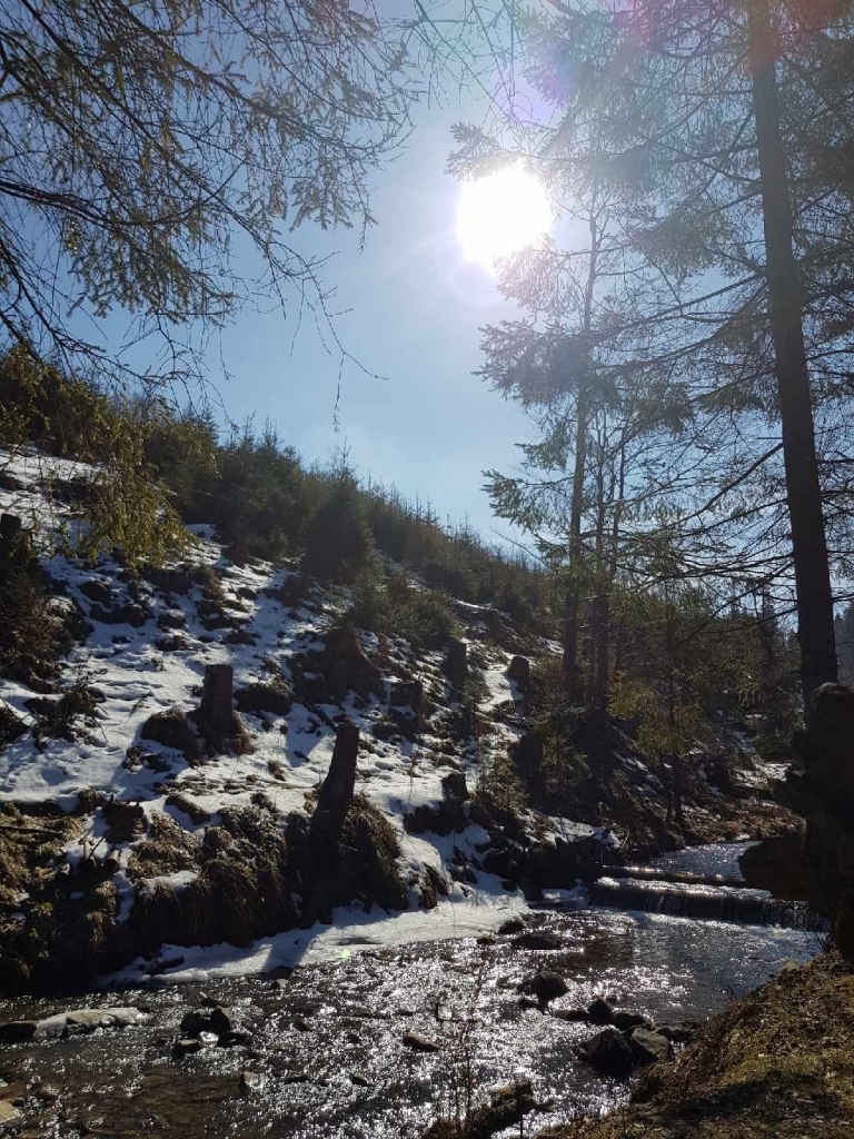50