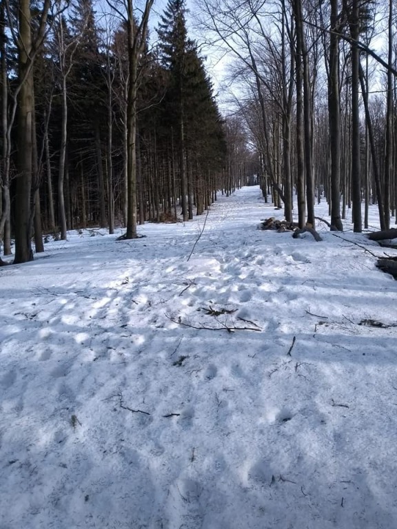23-24.02 Beskid Ślasko-Morawski