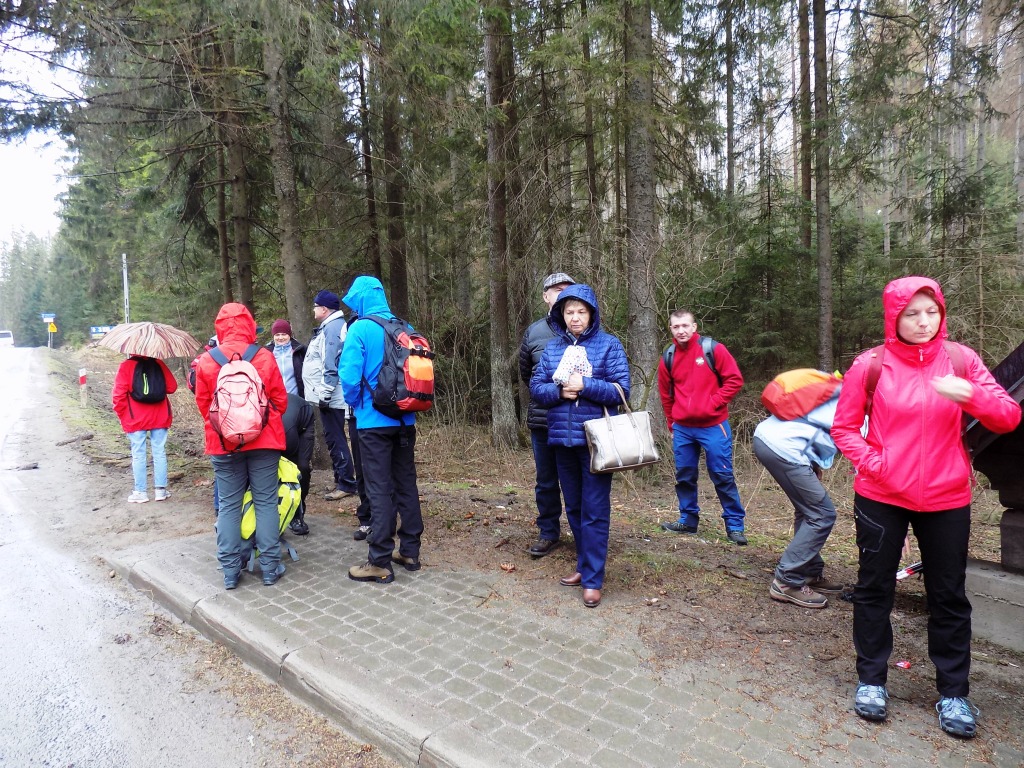 05-06.04 Krokusy