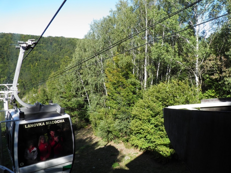 32