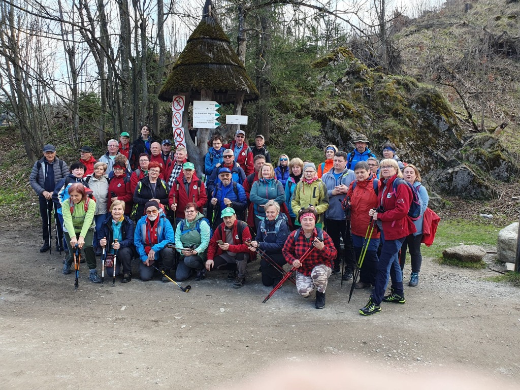 22.04.2023 Krokusy