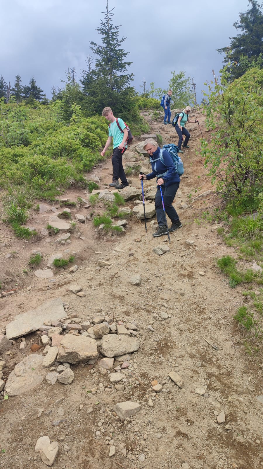 6