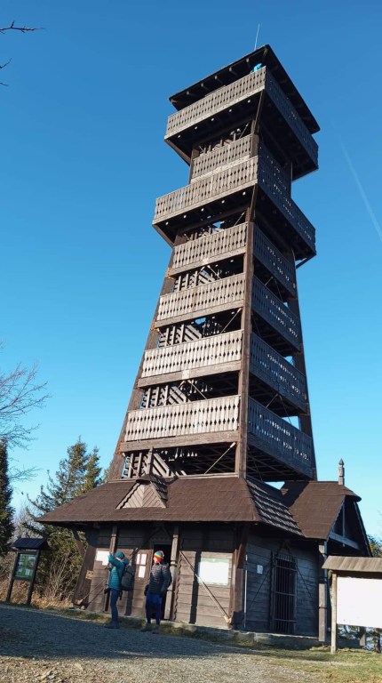 22