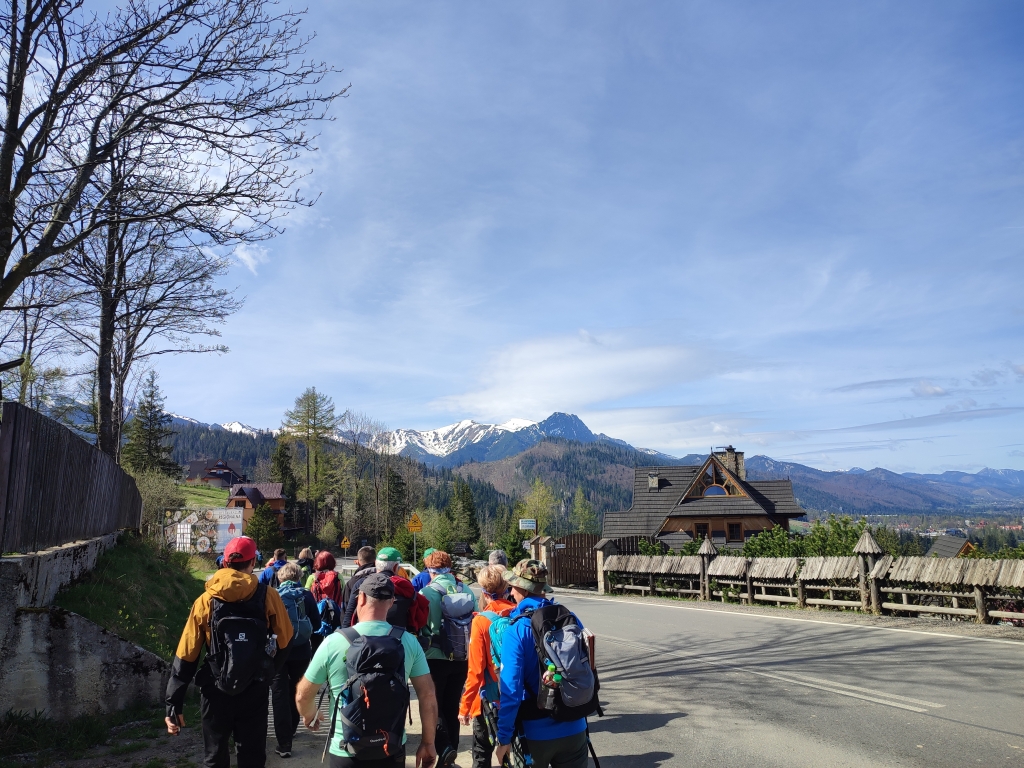 13.04.2024 Krokusy