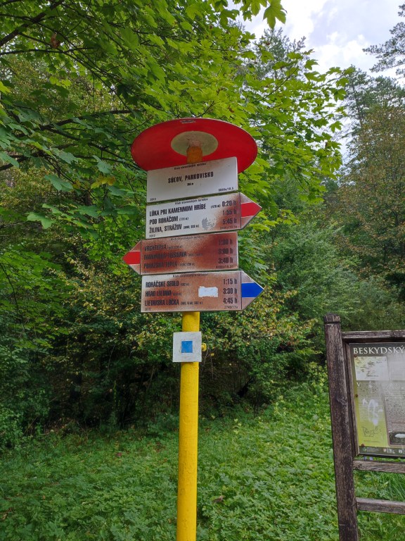 17.08.2024 Sulowskie Skały